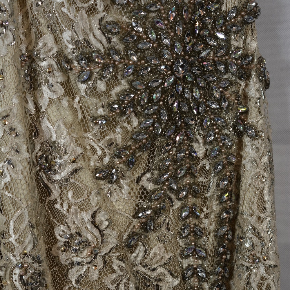 Terani Couture Lace Rhinestone Formal Dress SZ 10 NWT